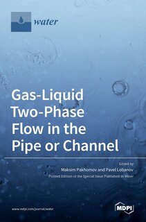 Couverture_Gas-Liquid Two-Phase Flow in the Pipe or Channel