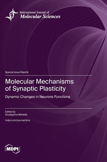 Couverture_Molecular Mechanisms of Synaptic Plasticity