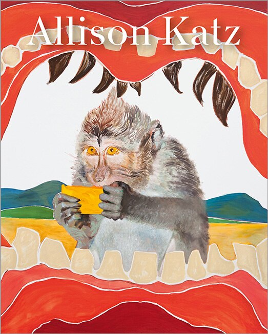 Front cover_Allison Katz