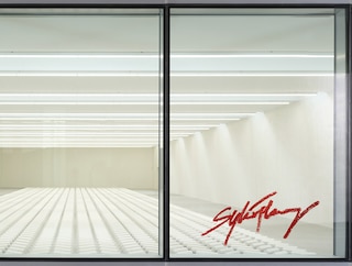 Front cover_Sylvie Fleury: Double Positive