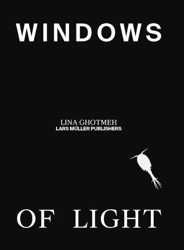 Couverture_Windows of Light