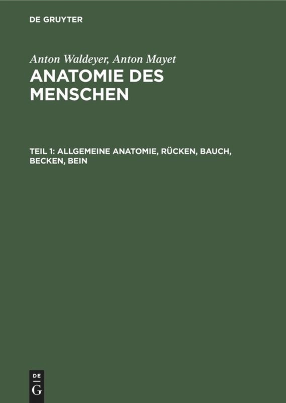 Allgemeine Anatomie, Rücken, Bauch, Becken, Bein