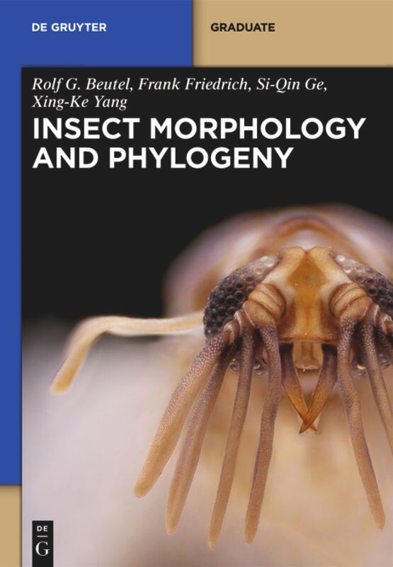 Couverture_Insect Morphology and Phylogeny
