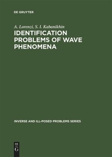 Couverture_Identification Problems of Wave Phenomena