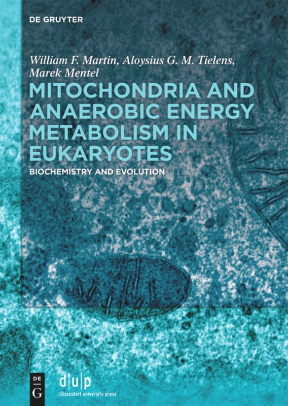 Couverture_Mitochondria and Anaerobic Energy Metabolism in Eukaryotes