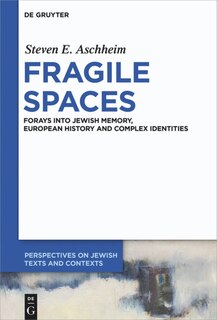 Fragile Spaces: Forays into Jewish Memory, European History and Complex Identities