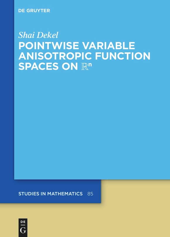 Front cover_Pointwise Variable Anisotropic Function Spaces on ℝⁿ