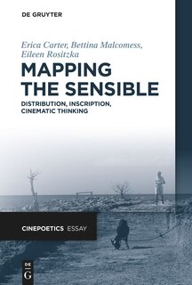Couverture_Mapping the Sensible