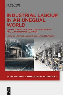 Front cover_Industrial Labour in an Unequal World