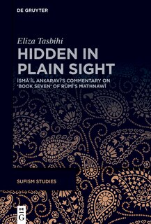 Front cover_Hidden in Plain Sight