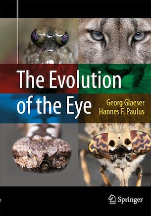 The Evolution Of The Eye