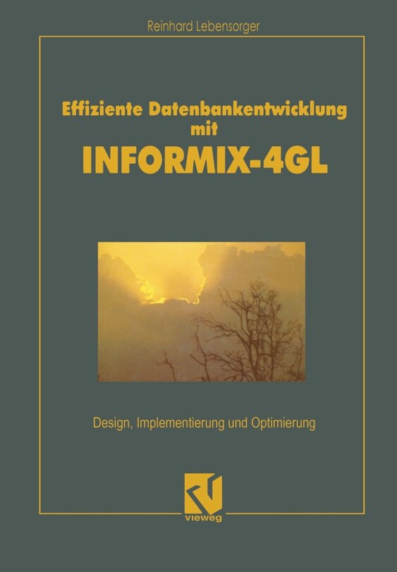 Front cover_Effiziente Datenbankentwicklung mit INFORMIX-4GL