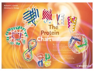 The Protein Chart