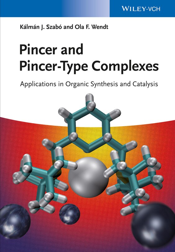 Couverture_Pincer and Pincer-Type Complexes