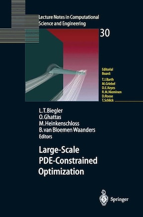 Large-scale Pde-constrained Optimization