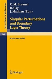 Couverture_Singular Perturbations and Boundary Layer Theory