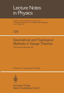 Couverture_Geometrical and Topological Methods in Gauge Theories