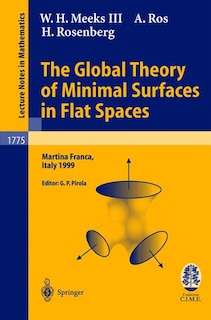 Front cover_The Global Theory of Minimal Surfaces in Flat Spaces