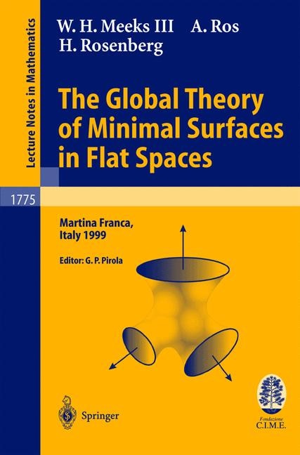 Front cover_The Global Theory of Minimal Surfaces in Flat Spaces