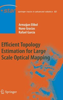 Couverture_Efficient Topology Estimation for Large Scale Optical Mapping