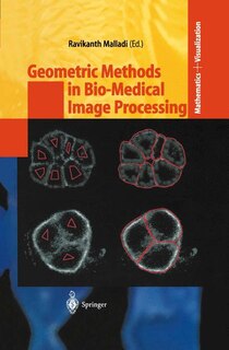 Couverture_Geometric Methods in Bio-Medical Image Processing