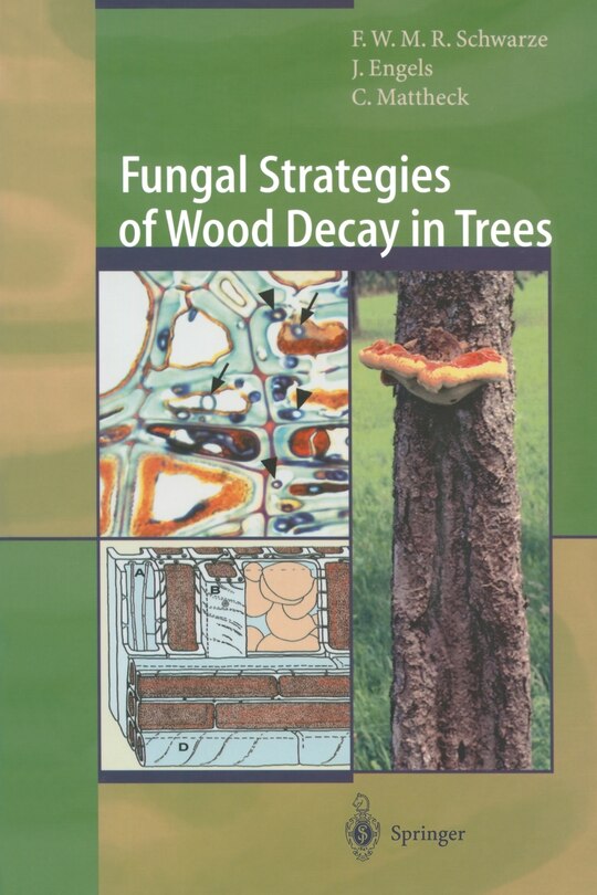 Front cover_Fungal Strategies of Wood Decay in Trees