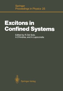 Front cover_Excitons in Confined Systems