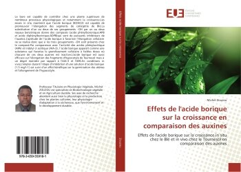 Couverture_Effets de l'acide borique sur la croissance en comparaison des auxines