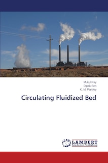 Couverture_Circulating Fluidized Bed