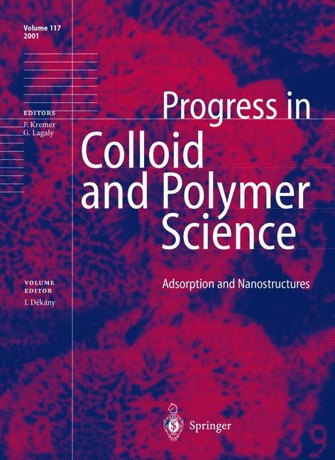 Couverture_Adsorption and Nanostructures