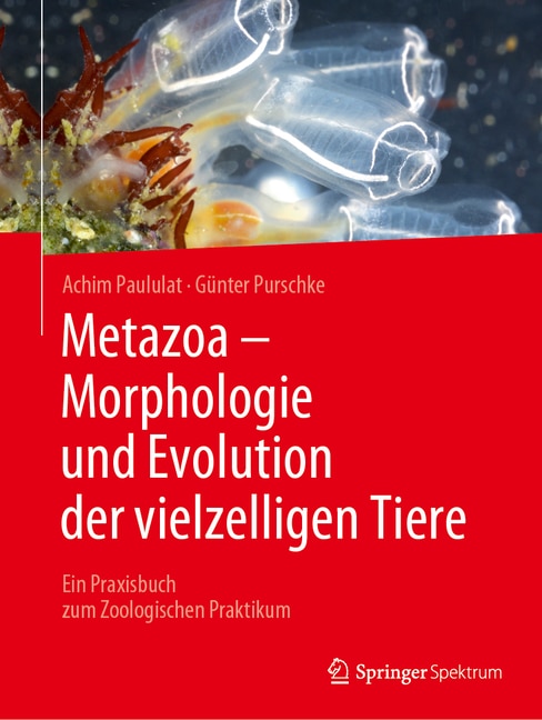 Couverture_Metazoa - Morphologie Und Evolution Der Vielzelligen Tiere