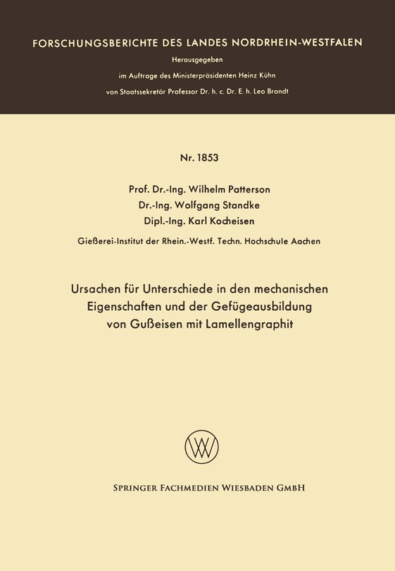 Couverture_Ursachen für Unterschiede in den mechanischen Eigenschaften und der Gefügeausbildung von Gußeisen mit Lamellengraphit
