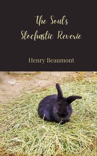 Front cover_The Soul's Stochastic Reverie