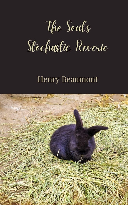 Front cover_The Soul's Stochastic Reverie