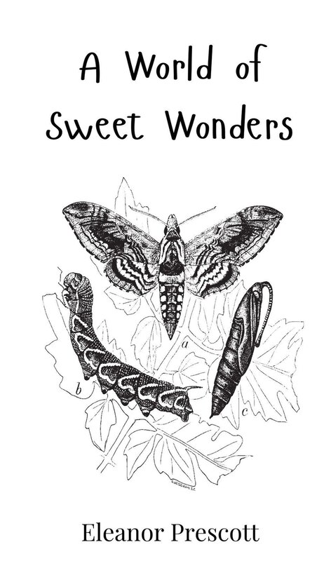 Front cover_A World of Sweet Wonders