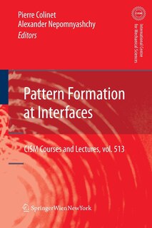 Couverture_Pattern Formation at Interfaces