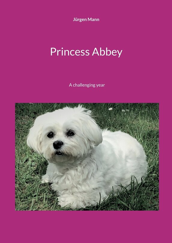 Princess Abbey: A challenging year