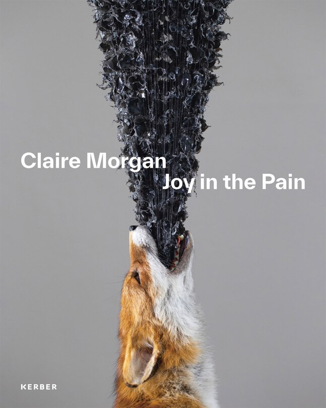 Front cover_Claire Morgan: Joy In The Pain