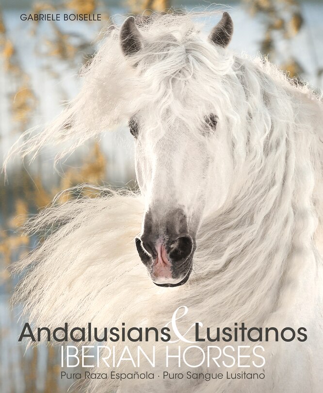 Couverture_Andalusians & Lusitanos Iberian Horses