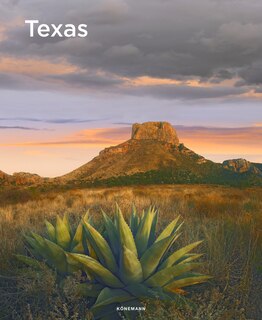 Couverture_Texas