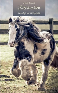 Couverture_Zitrönchen