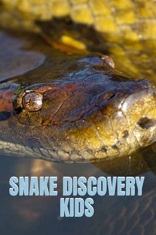 Front cover_Snake Discovery Kids