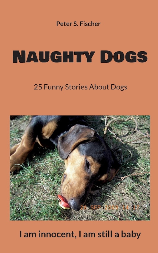 Couverture_Naughty Dogs