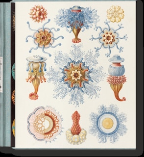 Front cover_The Art and Science of Ernst Haeckel
