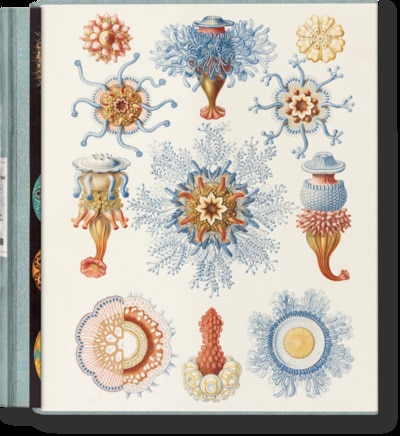 Front cover_The Art and Science of Ernst Haeckel