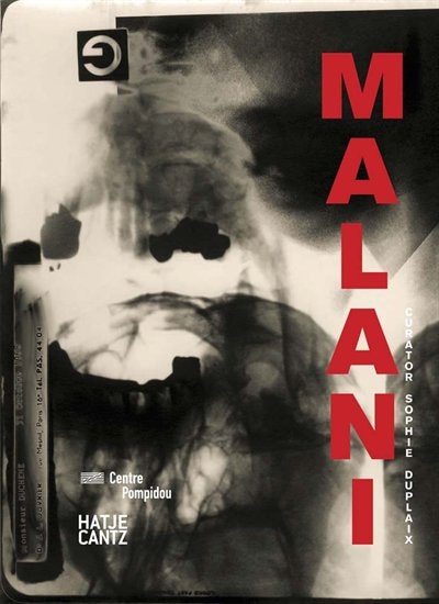 Couverture_Nalini Malani: Malani