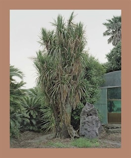 Front cover_Oksun Kim: Jeju Island