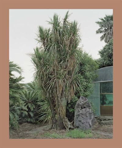 Front cover_Oksun Kim: Jeju Island