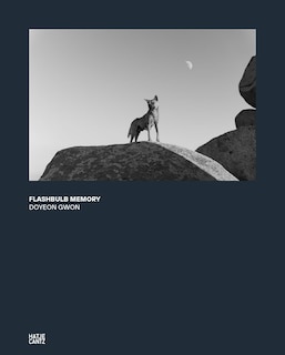 Couverture_Doyeon Gwon: Flashbulb Memory