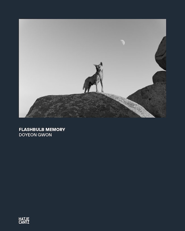 Couverture_Doyeon Gwon: Flashbulb Memory